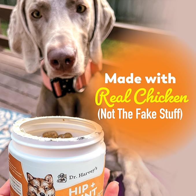 Dr. Harvey's Hip & Joint Soft Chews for Dogs, Daily Mobility Supplement Chewable Bites for Dogs with Glucosamine, Chondroitin & MSM, Green Lipped Mussel, Chicken Flavor (90 Chews)