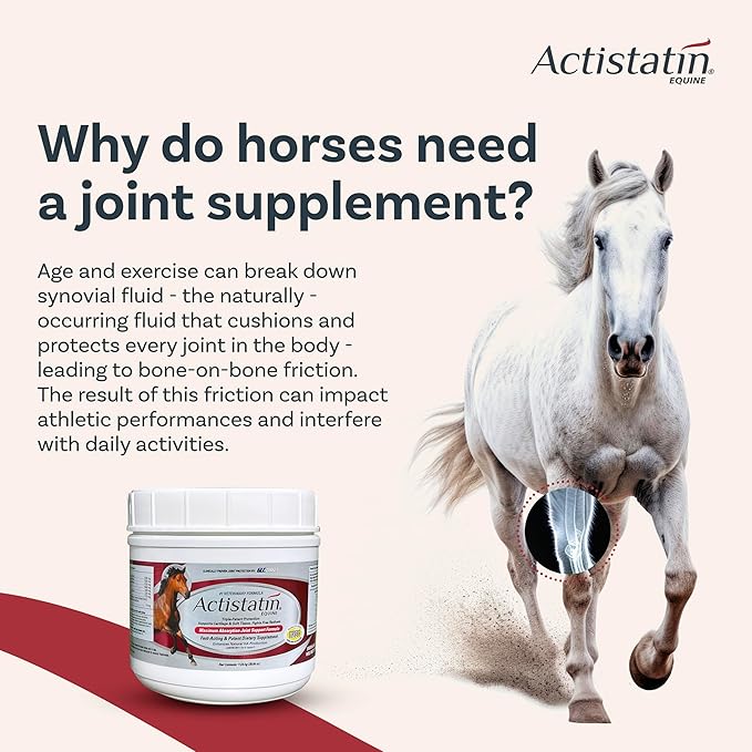 Actistatin Equine Powder - Horse Joint Supplement with Glucosamine & Chondroitin for Healthy Joints & Bones - Clinically Proven Cartilage & Soft Tissue Support for Horses - 39.65 oz - 90 Day Supply