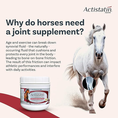 Actistatin Equine Powder - Horse Joint Supplement with Glucosamine & Chondroitin for Healthy Joints & Bones - Clinically Proven Cartilage & Soft Tissue Support for Horses - 39.65 oz - 90 Day Supply