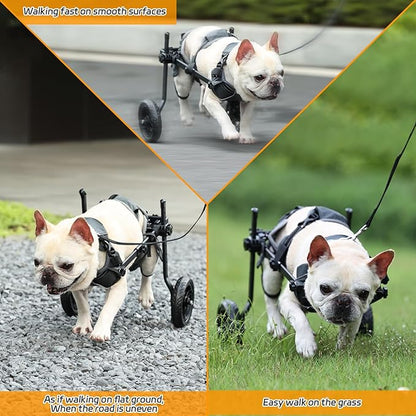 BECEMURU Dog Wheelchair for Back Legs, Doggy/Cat Wheelchair with Disabled Hind Legs Walking, Lightweight with Protective Vest Mobility Aids for Small Pets Hind Limbs (Small)