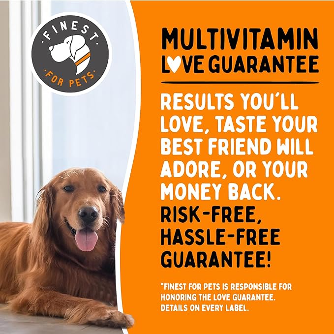 Finest For Pets Multivitamin Dog Supplement – 10 in 1 with Omega Fish Oil & Glucosamine for Improved Joint & Skin Support, Gut, Digestion & Immune Everyday Health (120 Chewable Treats)