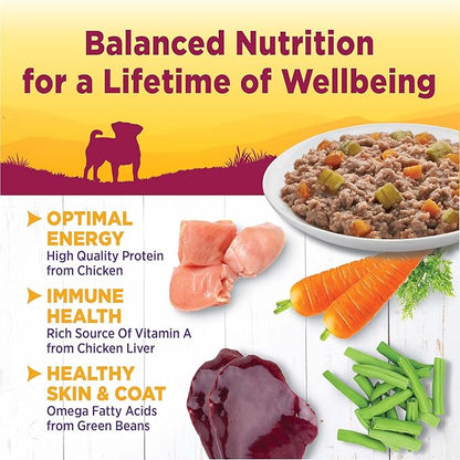 Wellness Natural Pet Food Petite Entrees Casserole Grain Free Natural Wet Small Breed Dog Food, Tender Chicken, Green Beans & Carrots, 3-Ounce Cup (Pack of 24)