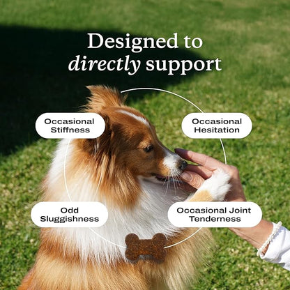 PetLab Co. Joint Care Chews - High Levels of Glucosamine for Dogs, Green Lipped Mussels, and Omega 3 - Dog Hip and Joint Supplement to Actively Support Mobility - Packaging May Vary - Salmon