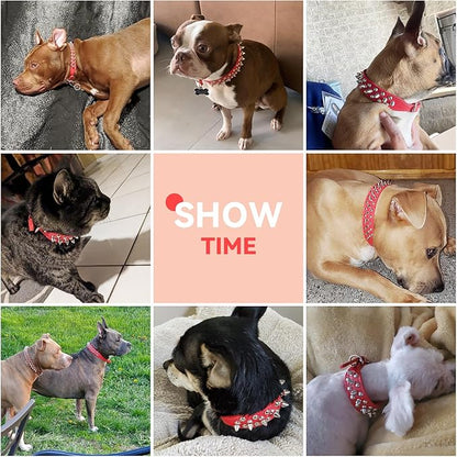 PETCARE Spiked Dog Collar Red Soft Pu Leather Funny Mushrooms Rivet Spike Studded Puppy Collar Adjustable Outdoor Pet Dog Collar for Small Medium Large Dogs Cats Chihuahua Pug Pit Bull Dog Collars