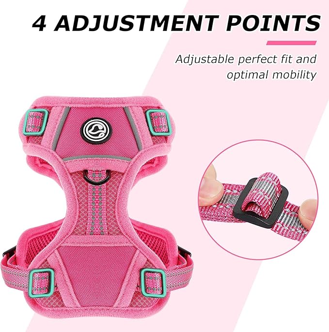 Dog Harness Small Sized Dog, No Pull Pet Harness with 2 Leash Clips, Adjustable Soft Padded Dog Vest Harnesses, Reflective No-Choke Pet Oxford Vest