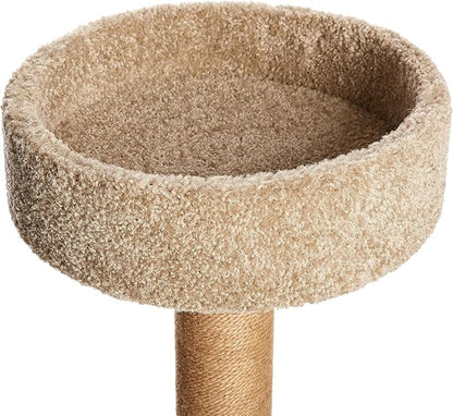 Amazon Basics Cat Tree - Indoor Cat & Kittens Multi-Level Climbing Activity Tower with Scratching Posts, Medium (31.5"H) - Beige