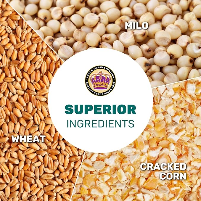 LEACH GRAIN & MILLING CO. Chicken Scratch 5 Lbs, Chicken Feed - High Protein and Fiber - Healthy Whole Grains - Supports Energy & Digestive Health, Natural Food and Supplies for Poultry