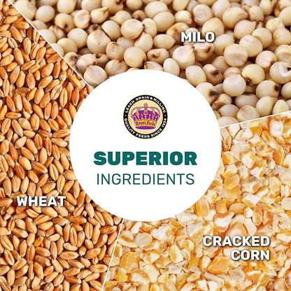 LEACH GRAIN & MILLING CO. Chicken Scratch 5 Lbs, Chicken Feed - High Protein and Fiber - Healthy Whole Grains - Supports Energy & Digestive Health, Natural Food and Supplies for Poultry