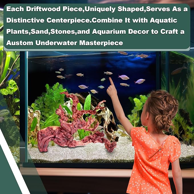 Natural Wood Coral Driftwood for Aquarium Fish Tank Decor,Assorted Driftwood Branch for Reptile Decor (Coral Driftwood Large (14 to18 Inch)-Pack of 1)