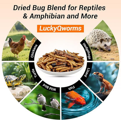 Dried Insect Trail Mix for Chickens - High Protein 42% & Calcium 1.1% for Egg Laying - Natural Treat for Birds, Reptiles, Ducks, Hedgehogs - 1 Lbs Resealable Bag