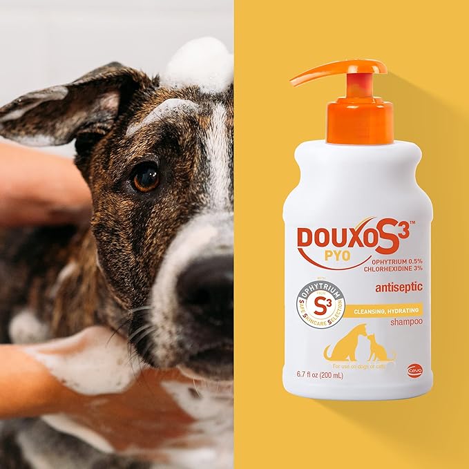 Douxo S3 Pyo Shampoo, Contains 3% Chlorhexidine & 0.5% Ophytrium, Antiseptic & Hydrating, For Bacterial or Yeast Skin Infections, For Dogs and Cats, 16.9 fl. oz. (500mL)