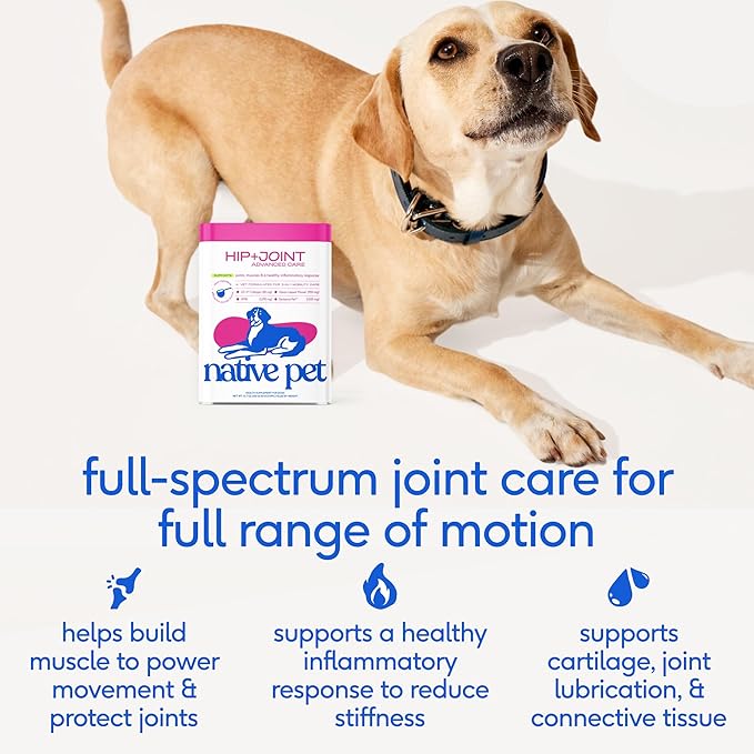 Native Pet Advanced Care - Hip & Joint Supplement for Dogs - Supports Joints, Cartilage, Muscles & Anti-Inflammatory with HMB, UC-II Collagen, Green Lipped Mussel & Hyaluronic Acid - 30 Scoops