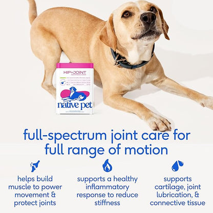 Native Pet Advanced Care - Hip & Joint Supplement for Dogs - Supports Joints, Cartilage, Muscles & Anti-Inflammatory with HMB, UC-II Collagen, Green Lipped Mussel & Hyaluronic Acid - 30 Scoops