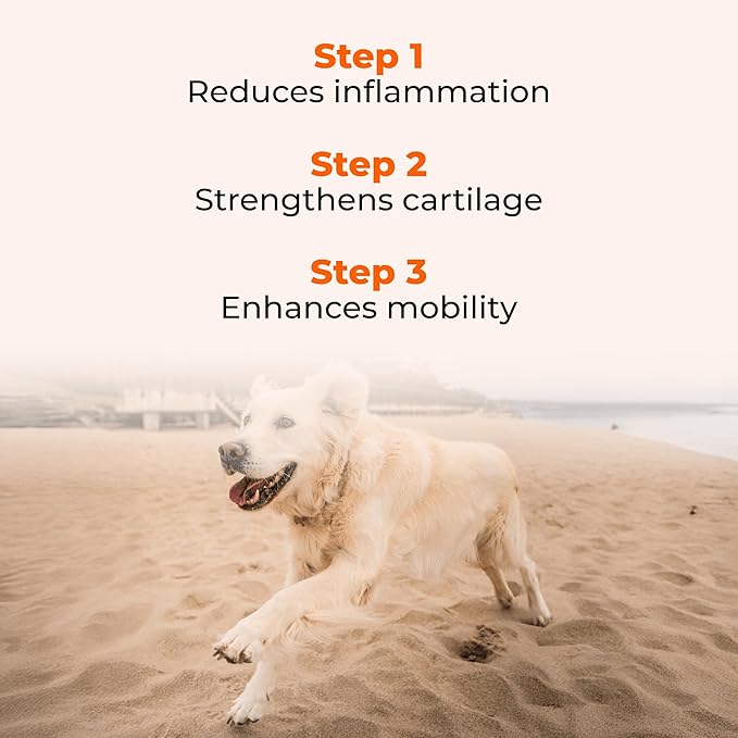 Pawlabs G-Max Joint Support for Dogs - Maximum Strength Hip & Joint Supplement with Glucosamine, Chondroitin, MSM etc - Relieves Arthritis Pain & Hip Dysplasia - Bacon Flavor, 60 Chews