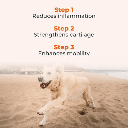 Pawlabs G-Max Joint Support for Dogs - Maximum Strength Hip & Joint Supplement with Glucosamine, Chondroitin, MSM etc - Relieves Arthritis Pain & Hip Dysplasia - Bacon Flavor, 60 Chews