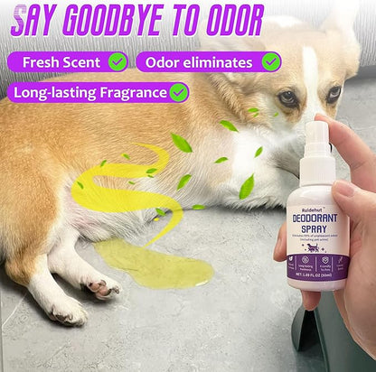 Dog Potty Training Spray & Dog Deodorant Spray, Assisted Puppy Potty Trainingï¼_liminate Dog Urine Odor, 1.69 Fl Oz Spray Set (1.69 Fl Oz Spray Set)