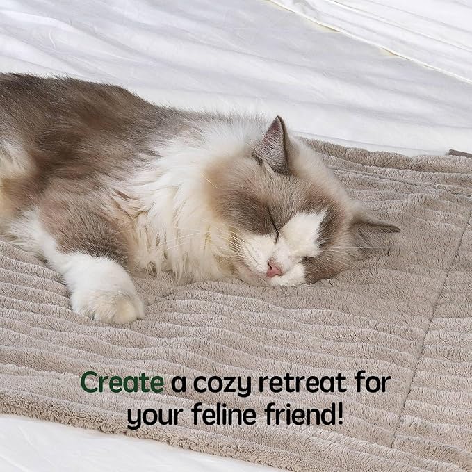 BALANCE Waterproof Blanket Wind Chime Dog Blanket for Small Dogs, Washable Double Sided Pet Blanket with Milk Plush and Super Soft Velvet, Pee Proof Calming Dog Blanket for Couch Protection