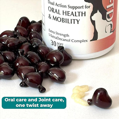 1TDC WorksSoWell Dual Action Joint Supplement for Dogs & Cats - Hip and Joint Supplement for Large Breed & Small Breed - Also Great for Oral Health - Muscle & Stamina Recovery & Arthritis - 30ct