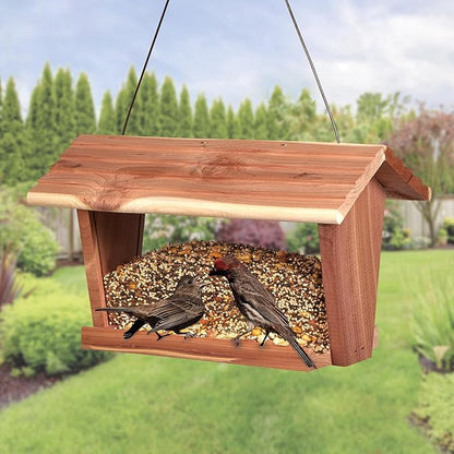 Kaytee Wild Bird Food, Summer Nesting Seed Blend, 8 lb