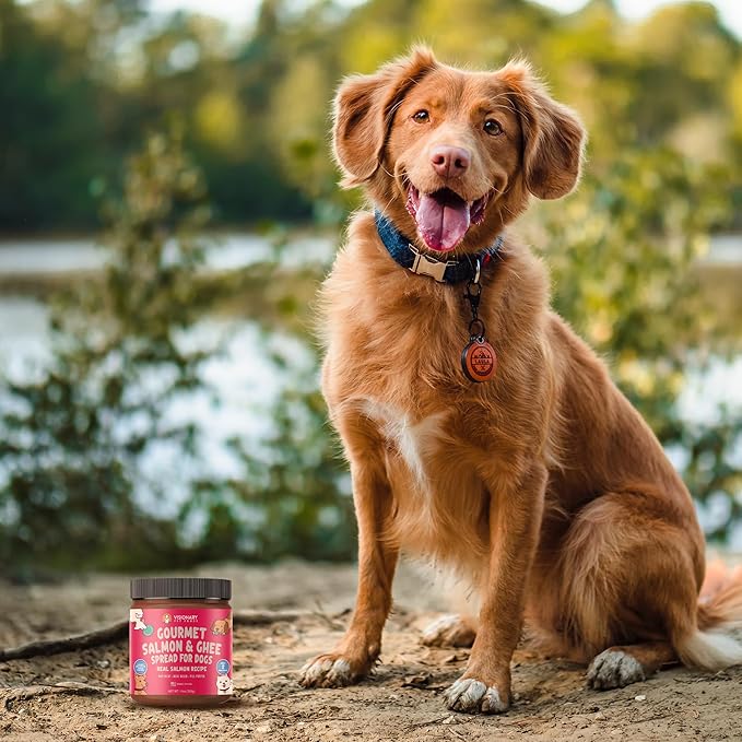 Visionary Pet Foods Salmon Meat Spread - Healthy Dog Treat - Alternative to Dog Peanut Butter, Xylitol Free, No Sugar and Filler Free - Use on Dog Lick Mat, Food Mixer, Pill Pockets - 10oz