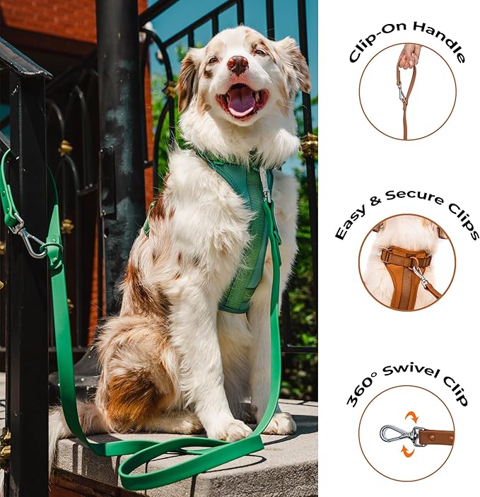 Dog Harness and Leash Set | BearBone No Pull Dog Harness and Waterproof Dog Collar and Leash Set | Heavy Duty Dog Harness, Leash and Collar | Leash, Collar and Harness Large Size Dog (Brown, Large)