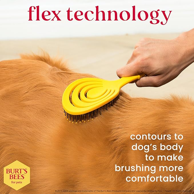 Burt_ Bees for Pets Detangling Pin Brush for Dogs with Medium to Long Hair with Handle Made from Recycled Plastics Collected from Coastal Communities | Dog Brush Removes Tangles and Loosens Matting