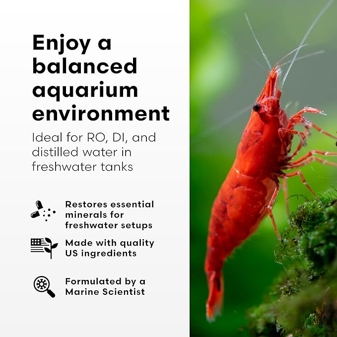 Brightwell Aquatics Remineralīz – Restores GH & TDS for Freshwater Aquariums, Replenishes Essential Minerals for Soft Water, Supports Fish & Plant Health, 20L