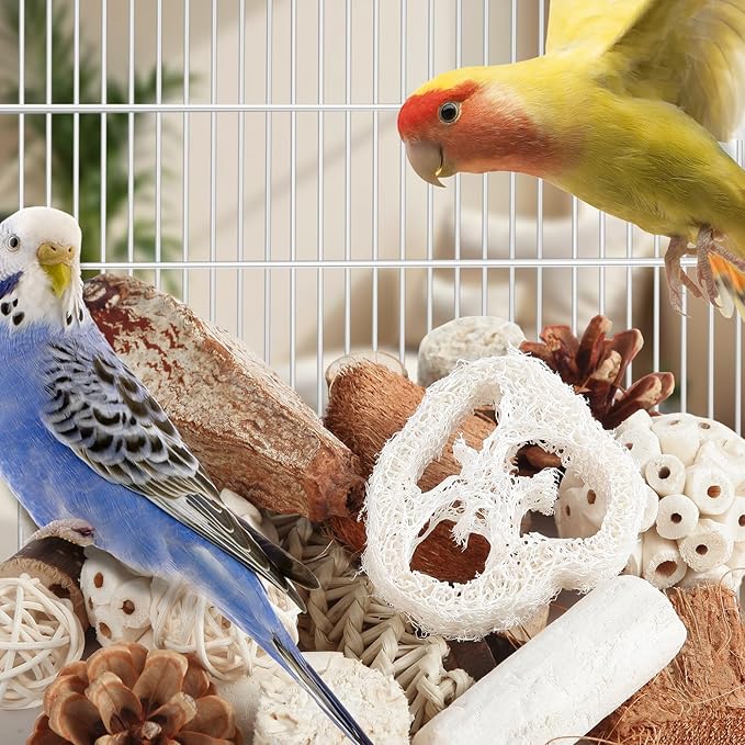 Kyouki Bird Toys Parrot Toys Natural Bird Foraging Box Foot for Parakeets,Cockatiels,Conures,Love Birds,and Other Small to Medium Birds (Medium)