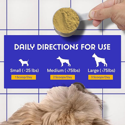 Bone Broth for Dogs – Bone Broth Powder with Organic Mushrooms & Collagen for Digestion, Immunity & Joint Support – Tasty Beef Supplement for Dogs of All Ages, Sizes & Breeds – 3.20 oz