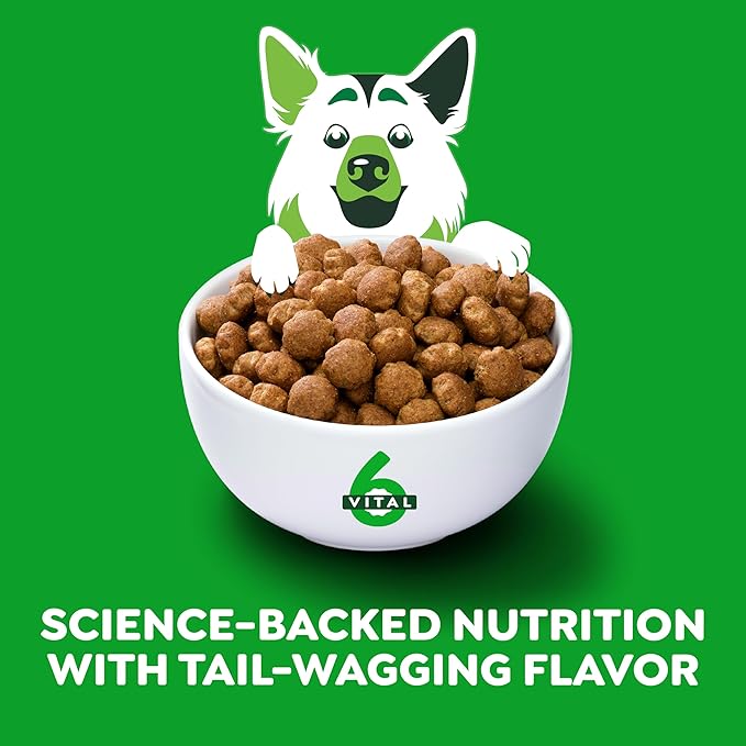 Greenies Smart Essentials Large Breed Adult High Protein Dry Dog Food Real Chicken & Rice Recipe, 15 lb. Bag