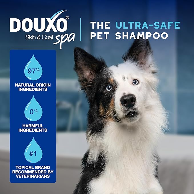 DOUXO® Skin & Coat SPA - Ultra-Safe Quick Refresh Leave-on Mousse for Dogs, 10 fl oz, Safely Cleans and Refreshes The Coat, Leaves The Coat Soft, Radiant and Smelling Great, Skin-Friendly Formula