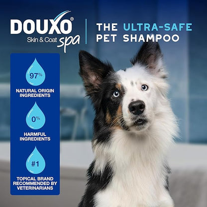DOUXO® Skin & Coat SPA - Ultra-Safe Quick Refresh Leave-on Mousse for Dogs, 10 fl oz, Safely Cleans and Refreshes The Coat, Leaves The Coat Soft, Radiant and Smelling Great, Skin-Friendly Formula