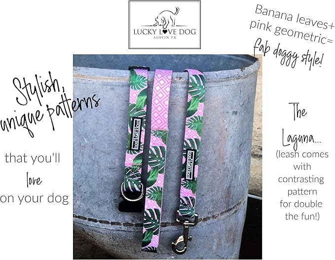 Lucky Love Dog Collars | Girl, boy Dog Collar for Small Medium Large Dogs - Comfortable, Soft, Cute - Laguna, Medium