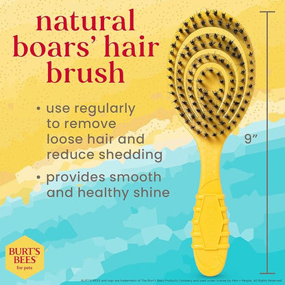 Burt's Bees for Pets Bristle Brush with Natural Boars Hair & Nylon with Handle Made from Recycled Plastics Collected from Coastal Communities | De-Shedding Dog Brush | Eco Friendly Dog Grooming Brush