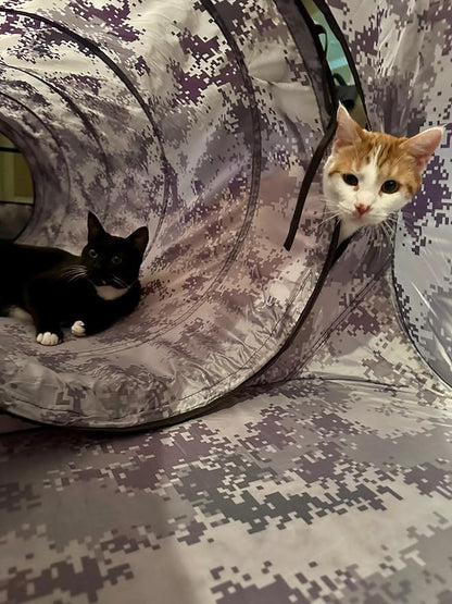3-Piece Mesh & Nylon Cat/Dog Tent Set, Tunnel Connects Two Houses, Digital Camo Gray, Carrying Case (Green Digital camo)