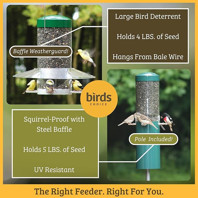 Birds Choice Classic Hanging Bird Feeder with Weatherguard Baffle | Squirrel Proof Bird Feeder for Cardinals, Chickadees, Woodpeckers | Sturdy Steel Construction | Backyard Birdseed Dispenser | Green