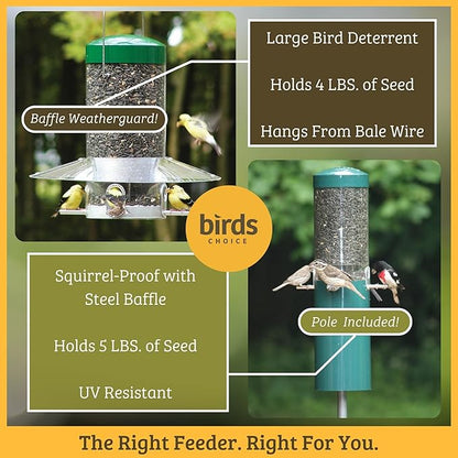 Birds Choice Classic Hanging Bird Feeder with Weatherguard Baffle | Squirrel Proof Bird Feeder for Cardinals, Chickadees, Woodpeckers | Sturdy Steel Construction | Backyard Birdseed Dispenser | Green
