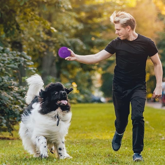 VITEVER 3 Colors 4.5” Heavy Duty Squeaky Dog Toy Balls for Medium Large Dogs, Dog Chew Toys for Teething, Spiky Dog Balls for Aggressive Chewers, Durable Dog Toys for Teeth Cleaning and Training