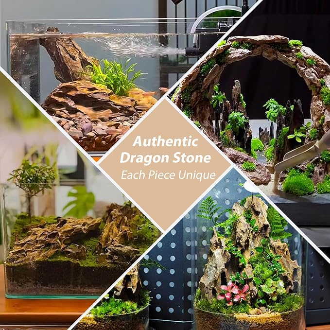 Dragon Rocks Aquarium Rock aquascaping Natural Stone Rocks Fish Tank Decor Rocks for Aquariums Landscaping Model Tank Decoration Aquarium Miniature -20Lb (2-8 inch)