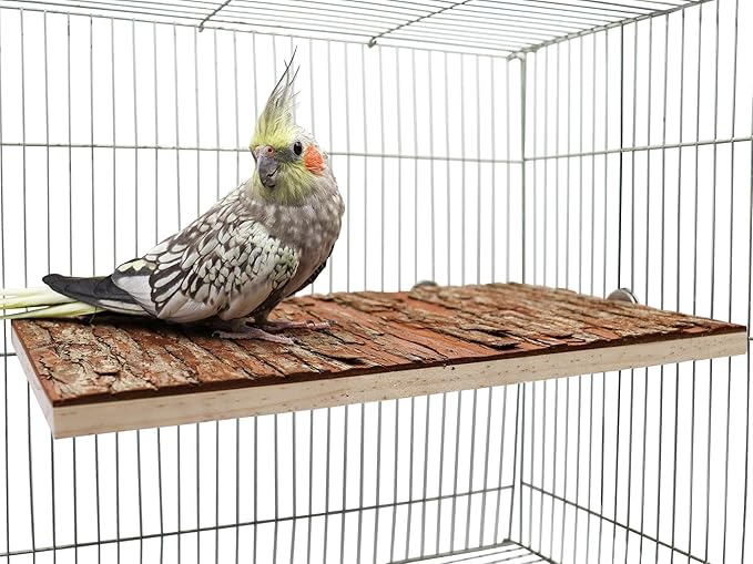 13.6 _ 7.9 inch Large Bird Perch Stand Platform, Natural Wooden Small Animals Cage Accessories, Rectangle Stand Perch Shelf for Parrot Parakeet Cockatiel Rat Hamster Guinea Pig Conures Chinchillas
