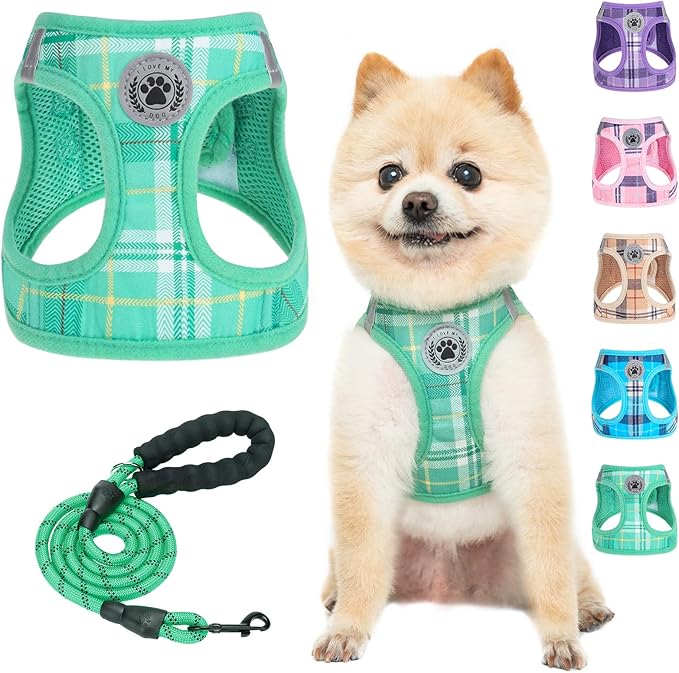 BEAUTYZOO Small Dog Harness and Leash Set,Step in No Chock No Pull Soft Mesh Dog Harnesses Reflective for Extra-Small/Small Medium Puppy Dogs and Cat, Plaid Dog Vest Harness for XS S Pet,Turquoise XXS
