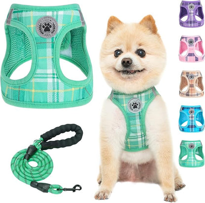 BEAUTYZOO Small Dog Harness and Leash Set,Step in No Chock No Pull Soft Mesh Dog Harnesses Reflective for Extra-Small/Small Medium Puppy Dogs and Cats, Plaid Dog Vest Harness for XS S Pets, Teal S