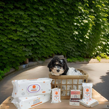 Aurora Pet Wipes – 100% Natural, Plant-Based Hypoallergenic Grooming Wipes for Dogs & Cats – Extra-Durable, Large & Thick for Effortless Cleaning (Unscented, 100 Count)