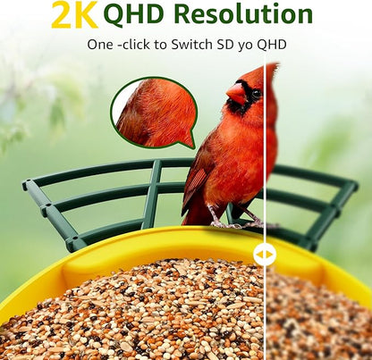 PeckCam® Smart Bird Feeder with Camera 2K HD Auto Detect & Notify, AI Identify 10000+ Birds Camera with Solar Panel 5 Perch Attachments Wireless Outdoor Birdwatching Gift for Birds Lover, Yellow