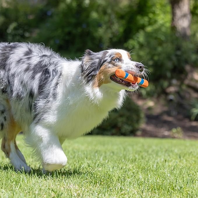 Chuckit! Interactive Dog Toy Ultra Fetch Stick Day & Night Bundle, 12 Inches, Outdoor, Pack of 2