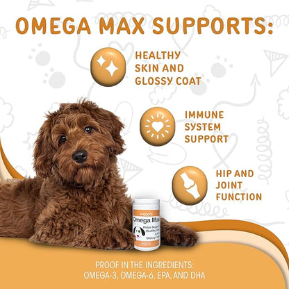 waggedy Omega Max Chews for Dogs with Salmon Oil & Flaxseed — Dog Essentials for Shiny Coats & Healthy Skin — Dog Supplements & Vitamins (60 Chews)