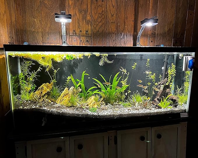Lominie Aquarium Plant Light 30W Freshwater LED Aquarium Light Full Spectrum with Remote Control for Refugium Shrimp Tropical Fish Tank