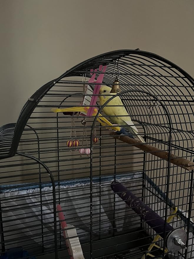 2 Bird Cage Hanging Mirrored Small Swing Perch Toys Parakeet Budgie Canary Standing Toy Glass Mirror, Plastic Perch