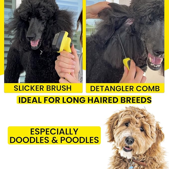 Slicker Dog Brush for Goldendoodles, Poodles & Dematting Pet Comb Value Kit - Easy Self Cleaning Slicker Brush for Grooming Dogs, Golden Doodle, Poodle, Cats - Detangle Comb Removes Matts