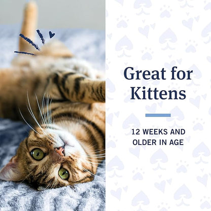 PetArmor Plus Flea and Tick Shampoo for Cats, Kills and Prevents Against Fleas and Ticks, Spring Freesia Scent, 12 fl. oz.